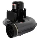 wdk-87619