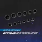 opt 40112 nabor udarnykh golovok 1 2 10 24 mm 10 predmetov