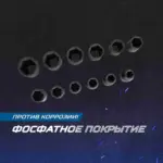 opt 40112 nabor udarnykh golovok 1 2 10 24 mm 10 predmetov
